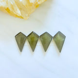 Large Swamp Green Shield Rosarita, Set of 4 Background