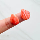13x18mm Teardrop Spiny Oyster, Set of 1