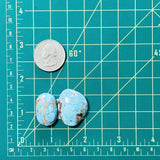Large Sky Blue Freeform Golden Hills Turquoise, Set of 2 Dimensions