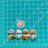 Medium Mixed Half Moon Mixed Turquoise, Set of 8 Dimensions
