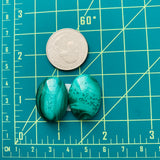 Large Sea Green Oval Malachite Copper Mineral, Set of 2 Dimensions