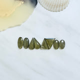 Small Swamp Green Mixed Rosarita, Set of 8 Background
