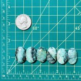 Large Ocean Blue Oval Crescent Lake Variscite, Set of 6 Dimensions
