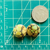 Medium Royal Orange Round Treasure Mountain Turquoise, Set of 2 Dimensions