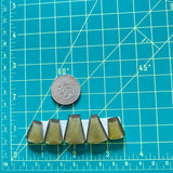 Medium Swamp Green Freeform Rosarita, Set of 5 Dimensions