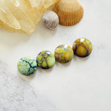 Medium Mixed Round Mixed Turquoise, Set of 4 Background