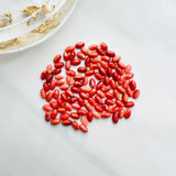 3x5mm Oval Spiny Oyster, Set of 10