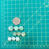 Small Mint Green Hexagon Broken Arrow Variscite, Set of 9 Dimensions