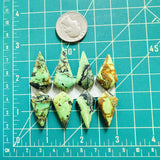 Large Sea Green Shield Yungai Turquoise, Set of 8 Dimensions