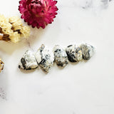 Small White Mixed White Buffalo Dolomite, Set of 5 Background