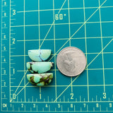 Medium Sea Green Half Moon Treasure Mountain Turquoise, Set of 3 Dimensions