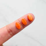 6x10mm Oval Spiny Oyster, Set of 2