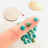 6x6mm Round Tyrone, Set of 4