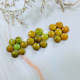 Small Royal Orange Round Treasure Mountain Turquoise, Set of 21 Background