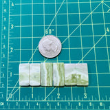 Medium Lime Green Bar Green Serpentine Serpentine, Set of 6 Dimensions