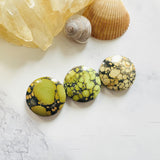Large Mixed Round Treasure Mountain Turquoise, Set of 3 Background