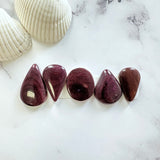 Medium Purple Mixed Spiny Oyster, Set of 5 Background