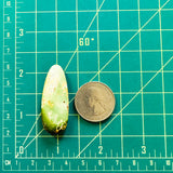 Large Sea Green Teardrop Royston Turquoise Dimensions