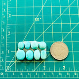 Small Sky Blue Freeform Sleeping Beauty Turquoise, Set of 8 Dimensions