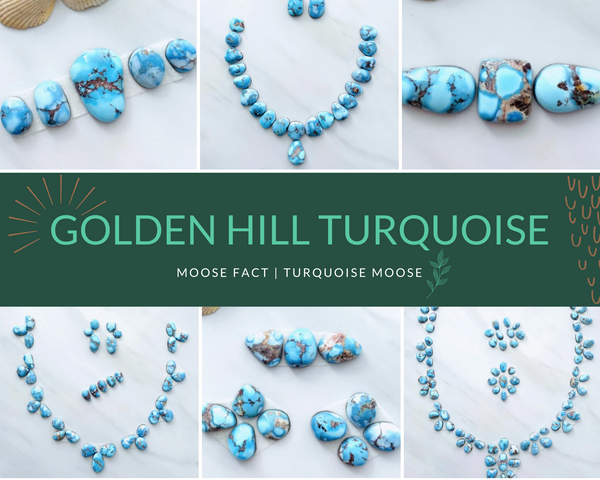 Moose Fact: Getting To Know Desert Lavender/Golden Hill Turquoise