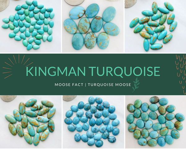 Moose Fact: Getting To Know Kingman Turquoise