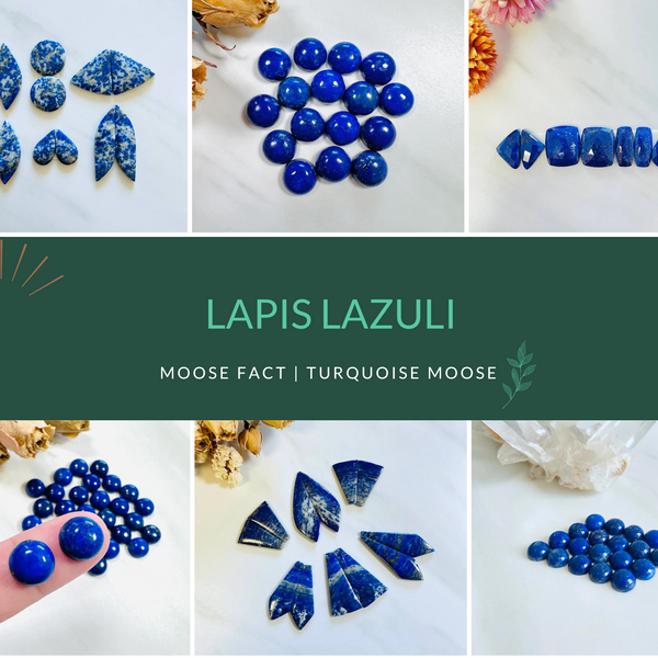 Getting to Know Lapis Lazuli – Turquoise Moose