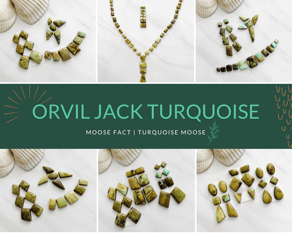 Moose Fact: Getting To Know Orvil Jack Turquoise