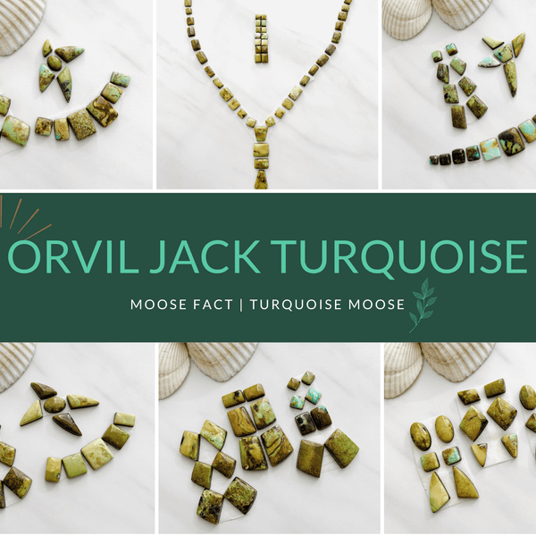 Moose Fact: Getting To Know Orvil Jack Turquoise – Turquoise Moose