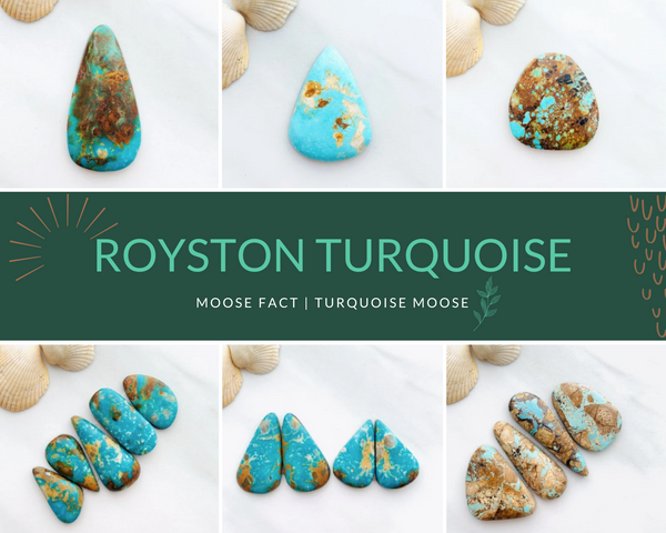Moose Fact: Getting To Know Royston Turquoise