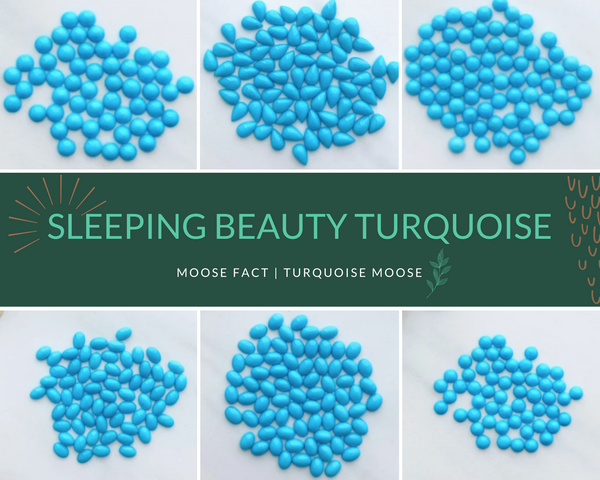 Moose Fact: Getting To Know Sleeping Beauty Turquoise