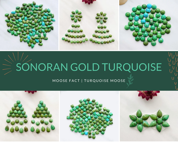 Moose Fact: Sonoran Gold Turquoise And Its Origin