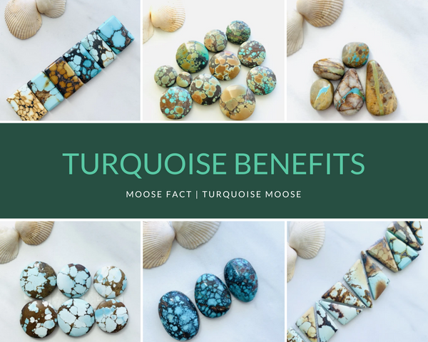 Moose Fact: Benefits of Carrying Turquoise