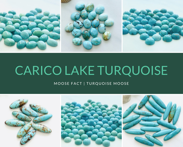 Moose Fact: Getting To Know Carico Lake Turquoise