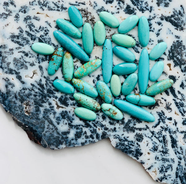 $100 - $250(including IG) – Turquoise Moose