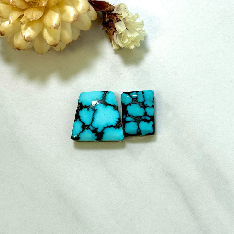 Medium Sky Blue Mixed Yungai Turquoise, Set of 2 Background