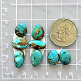 Small Sky Blue Mixed Fox Turquoise, Set of 8 Dimensions