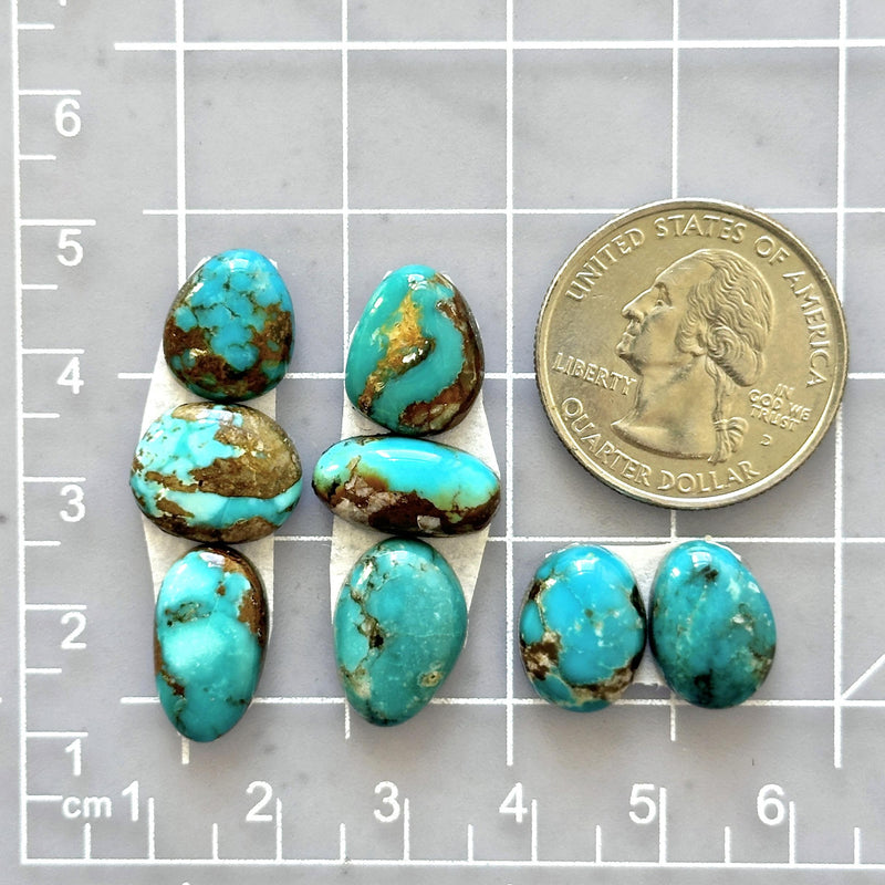 Small Sky Blue Mixed Fox Turquoise, Set of 8 Dimensions
