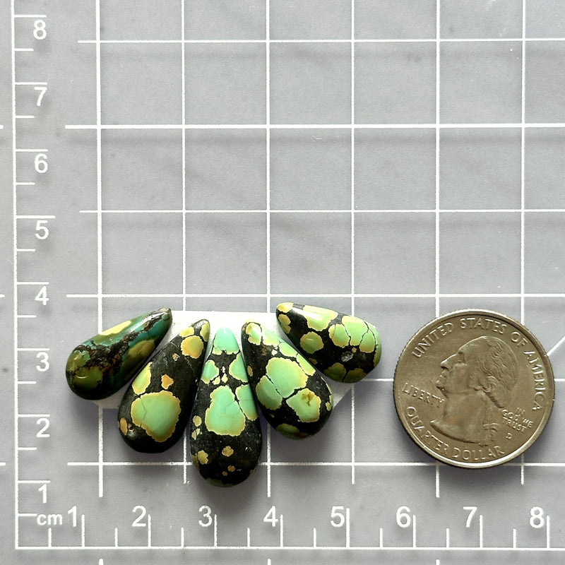 Medium Bamboo Green Teardrop Bamboo Mountain Turquoise, Set of 5 Dimensions