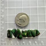 Small Bamboo Green Mixed Bamboo Mountain Turquoise, Set of 7 Dimensions