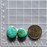 Large Sky Blue Freeform Number 8 Turquoise, Set of 2 Dimensions