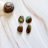 Medium Sea Green Mixed Pilot Mountain Turquoise, Set of 4 Background