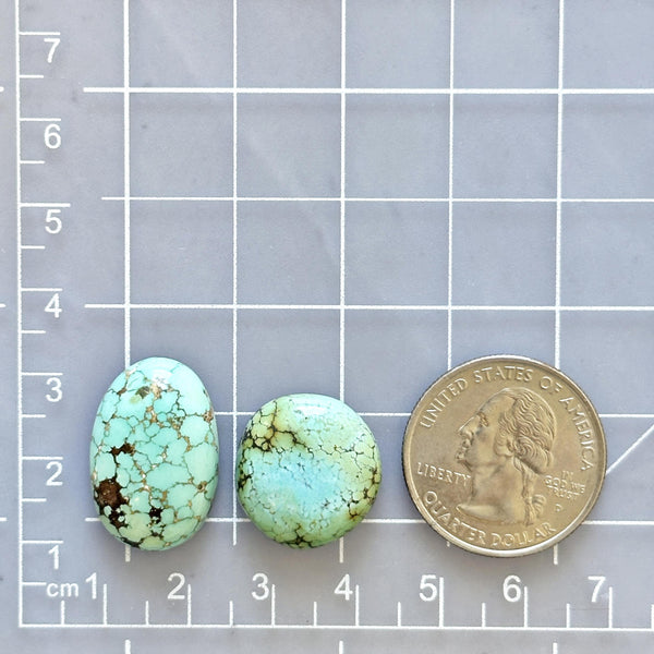 Medium Faint Green Mixed Treasure Mountain Turquoise, Set of 2 Dimensions
