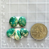 Small Deep Green Mixed Fox Turquoise, Set of 5 Dimensions
