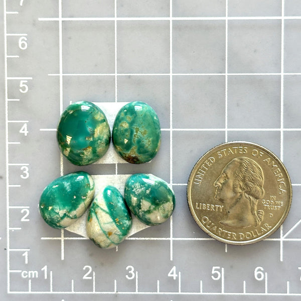 Small Deep Green Mixed Fox Turquoise, Set of 5 Dimensions
