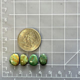 Small Mixed Mixed Tyrone Turquoise, Set of 4 Dimensions
