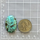 Large Sky Blue Oval Wild Horse Turquoise Dimensions