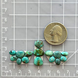 Small Sea Green Mixed Lone Mountain Turquoise, Set of 15 Dimensions
