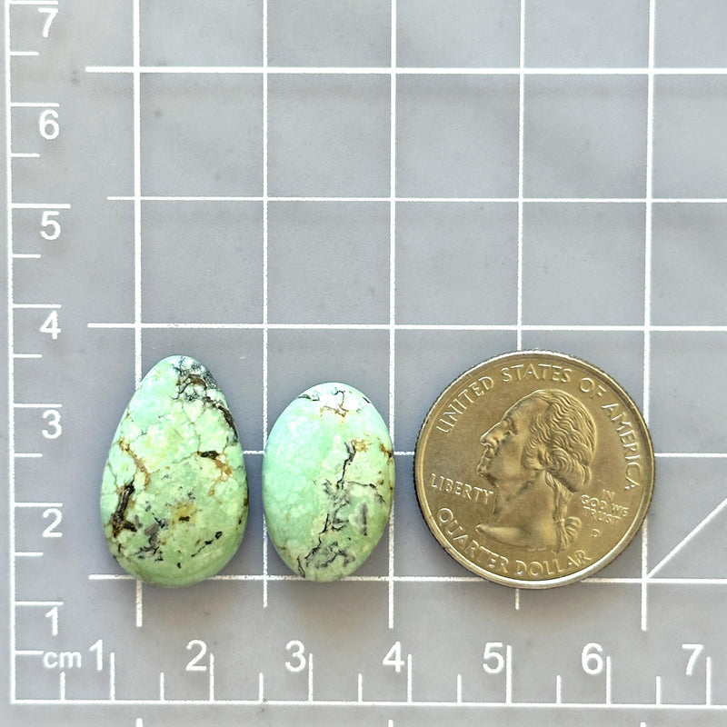 Large Faint Green Mixed Treasure Mountain Turquoise, Set of 2 Dimensions