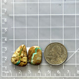 Medium Faint Green Mixed Royston Turquoise, Set of 2 Dimensions