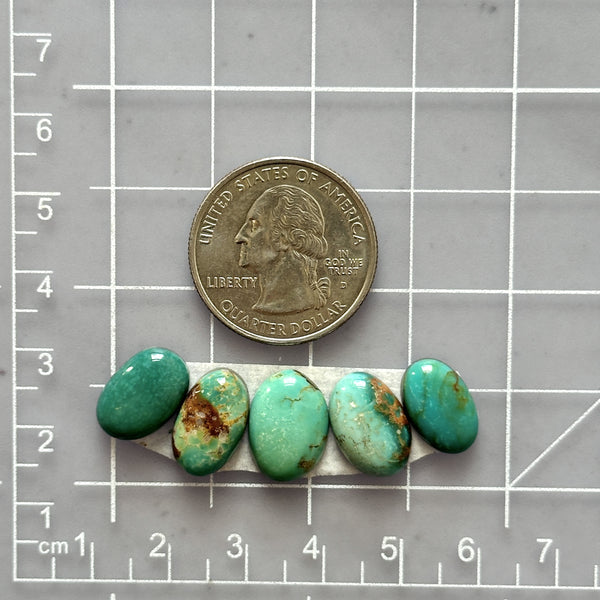 Small Sea Green Oval Tyrone Turquoise, Set of 5 Dimensions